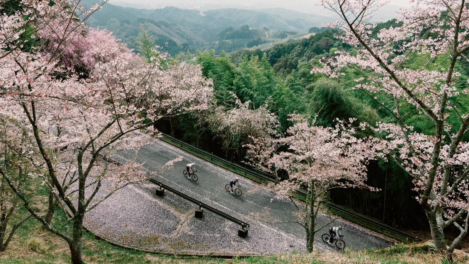 rapha rcc 